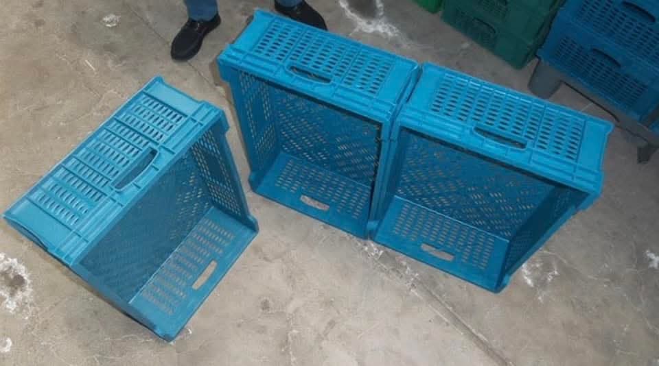 Plastik yeşik