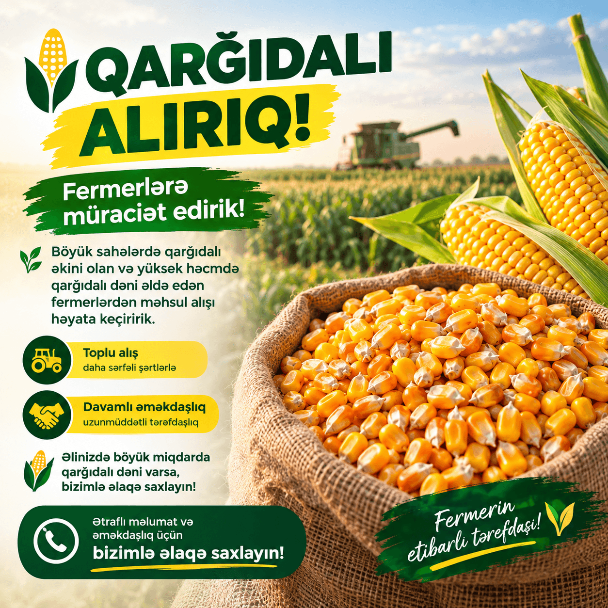 Qarğıdalı dəni