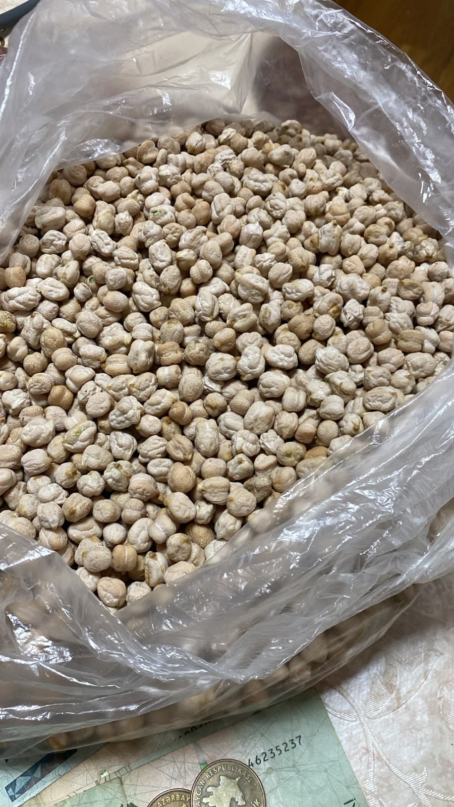 Pakistan Noxudu