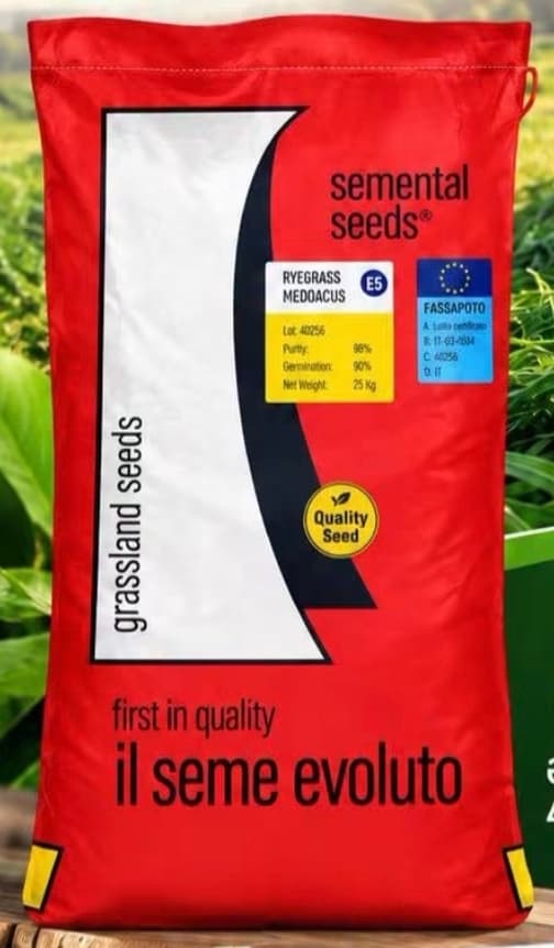 Ryegrass toxumu - İtaliya