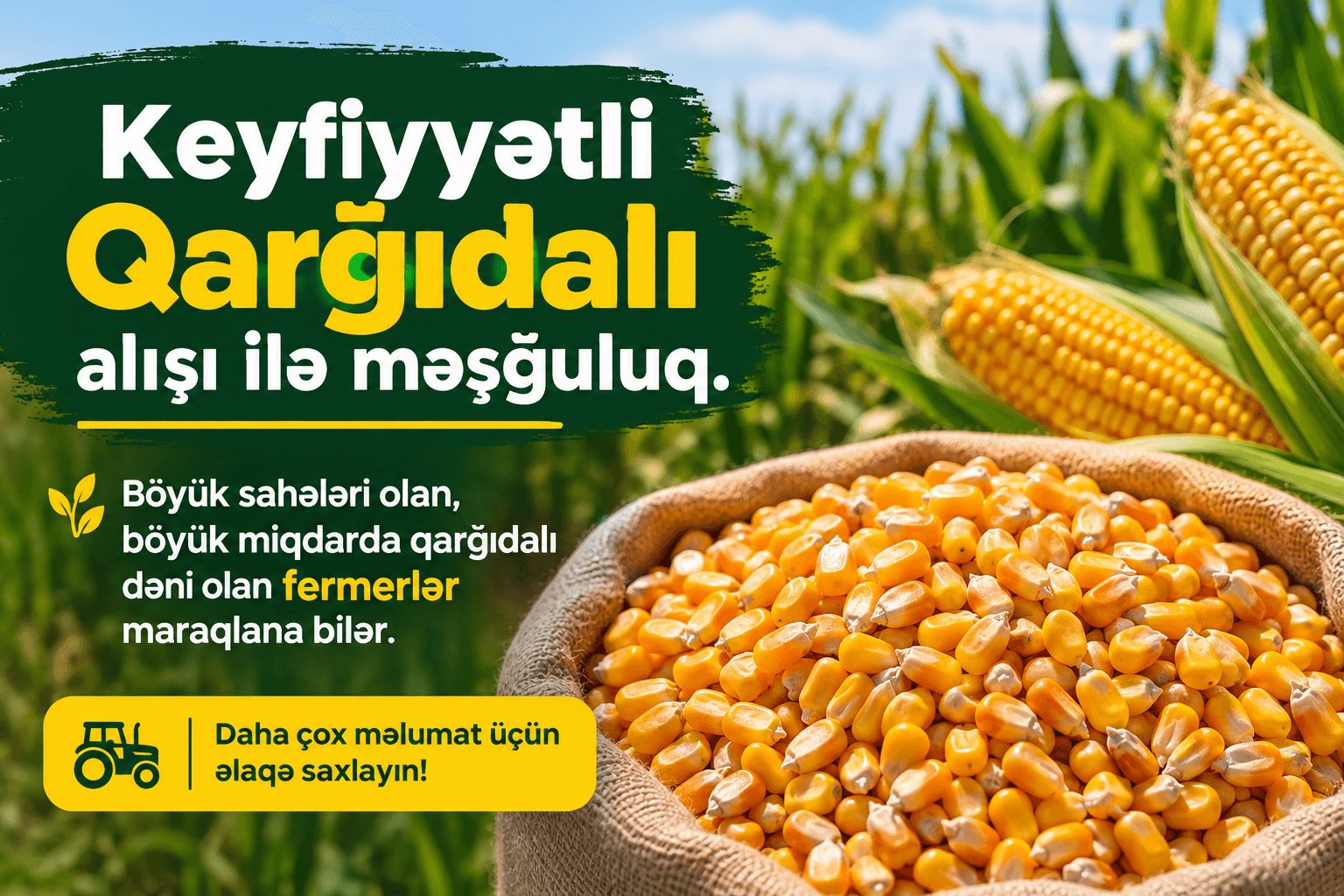 Qarğıdalı dəni