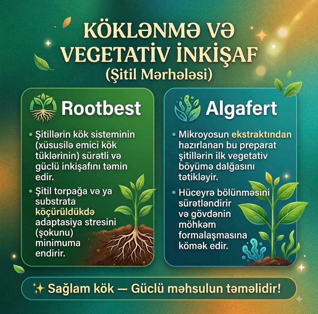 Yüksək Məhsuldarlıq və Zəmanətli Keyfiyyət