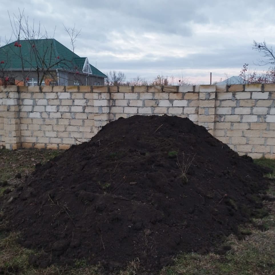 Qara torpağ yanmış peyin