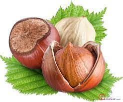 Zaqatala (Muxax) fındığı