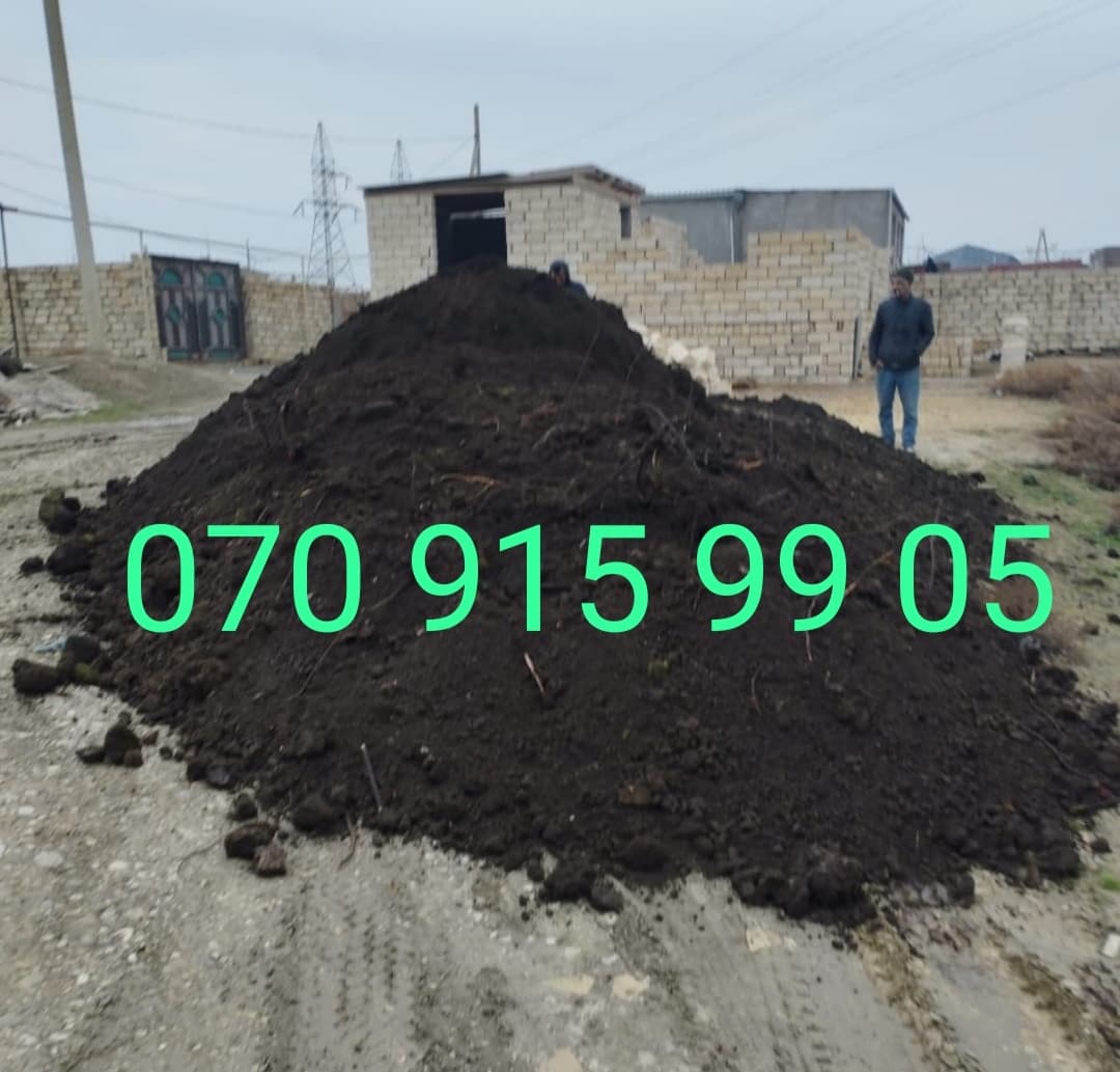 Qara Torpağ Peyin satşi