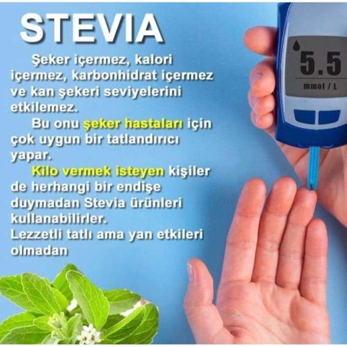 Stevia şəkərotu