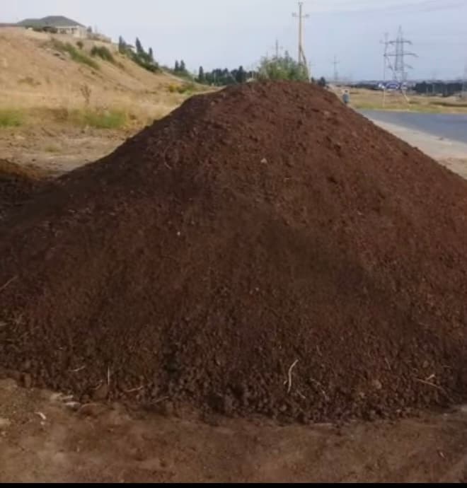 Qara torpaq ve peyin