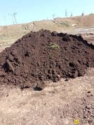 Qara torpaq ve peyin