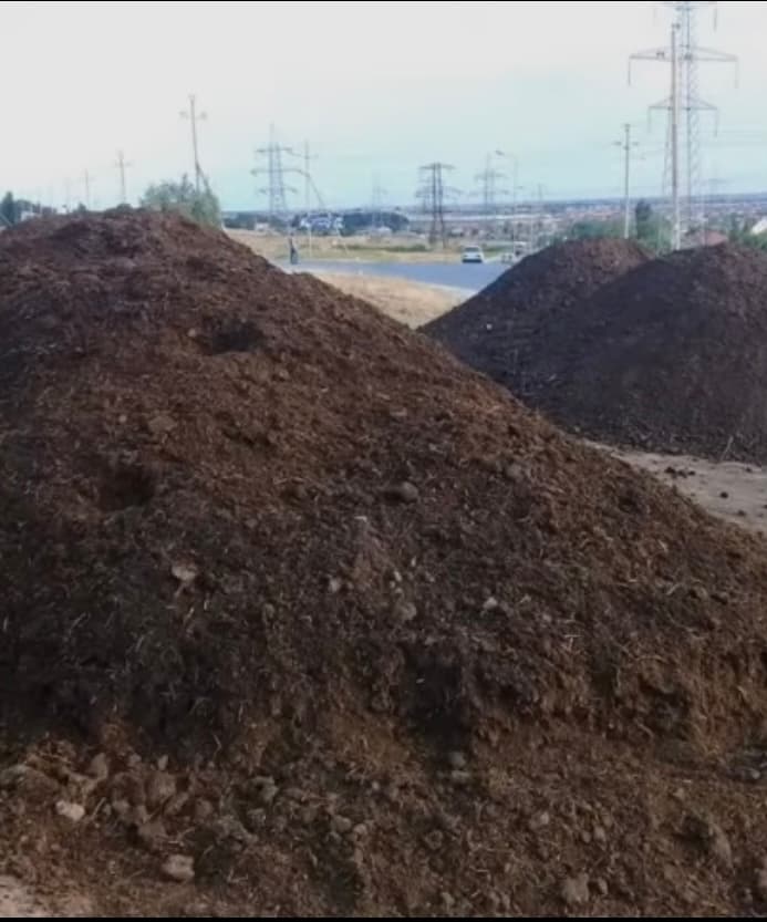 Qara torpaq ve peyin