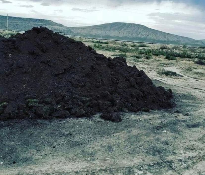 Qara torpaq ve peyin