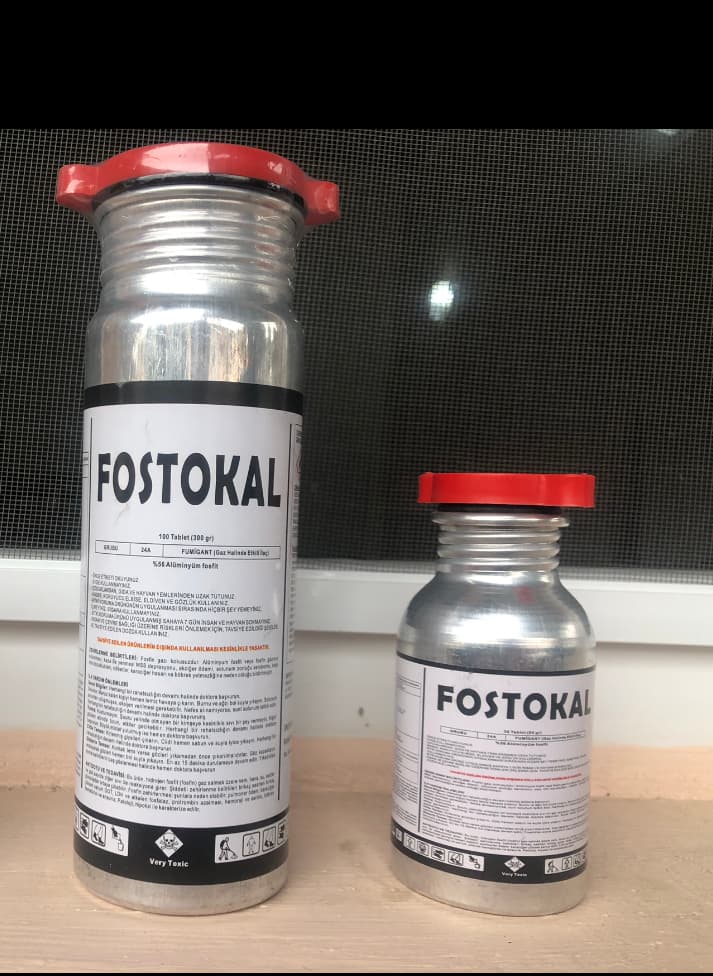 Fostokal taxıl biti