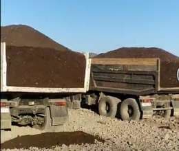 Qara torpaq peyin