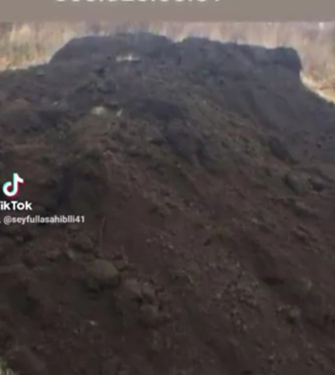 Qara torpaq peyin