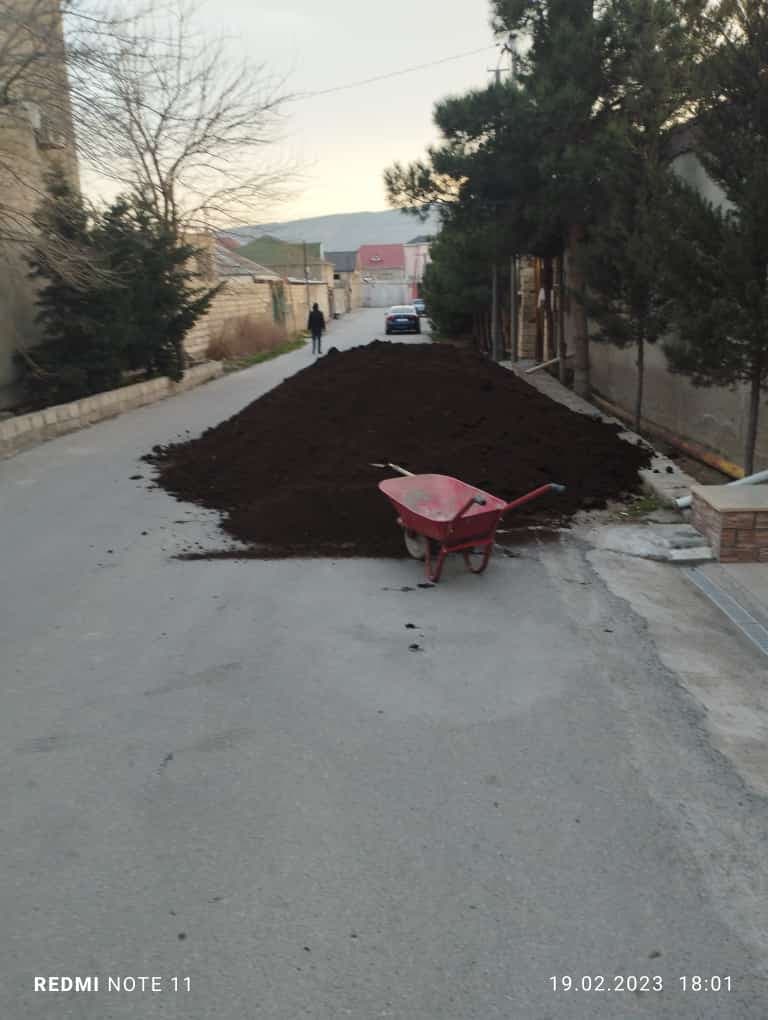 Qara torpaq peyin