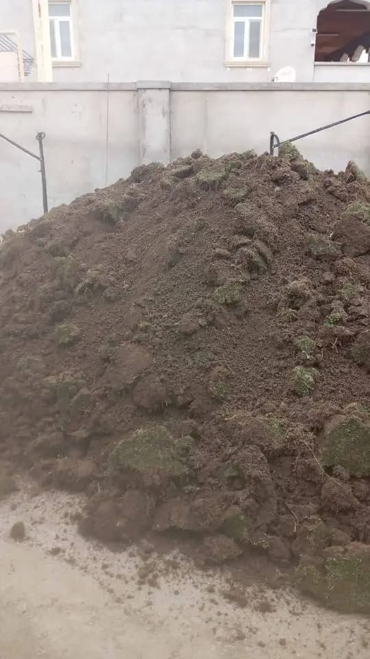 Qara torpaq peyin