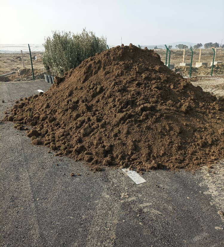 Qara torpaq