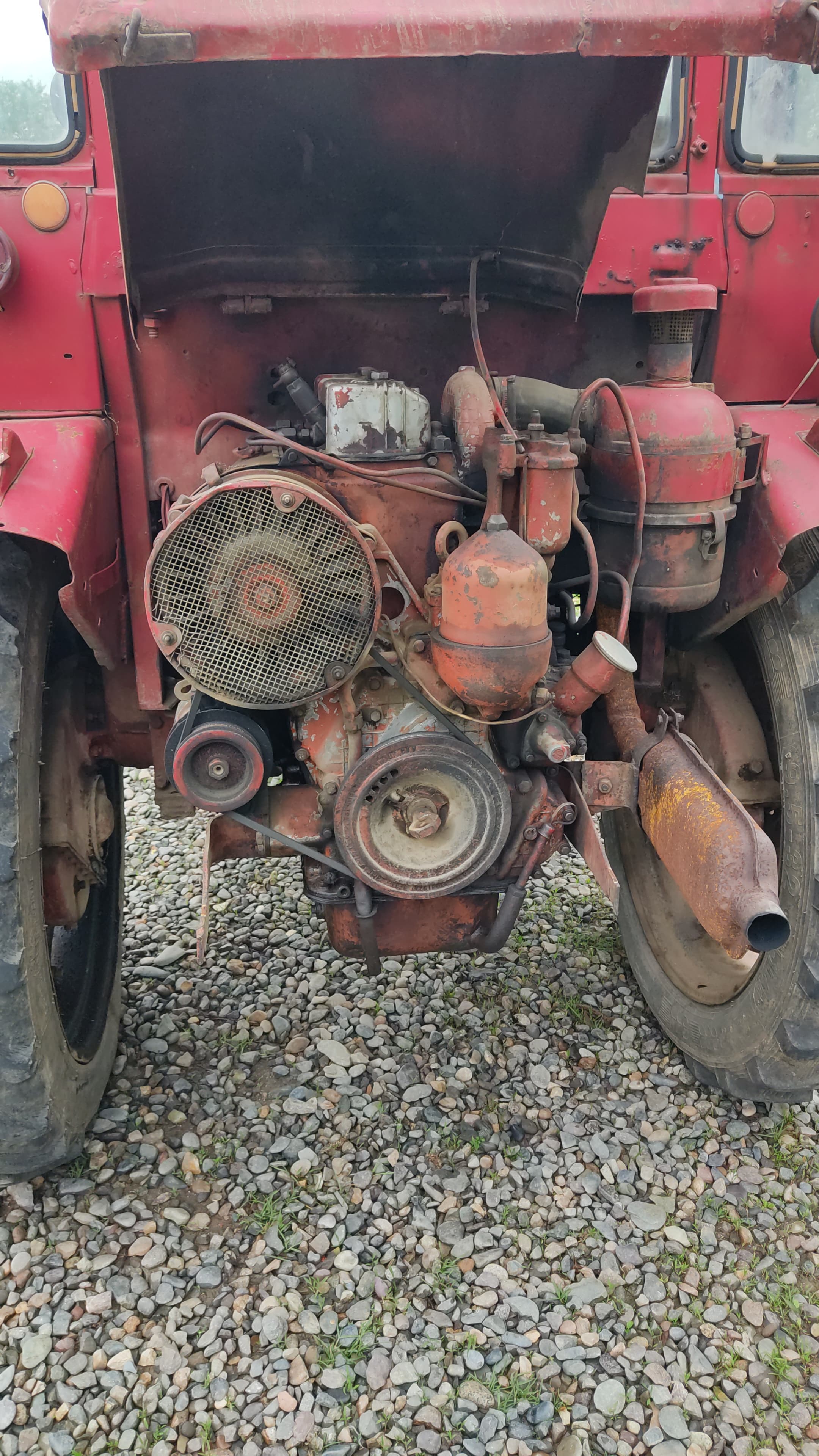 T 16