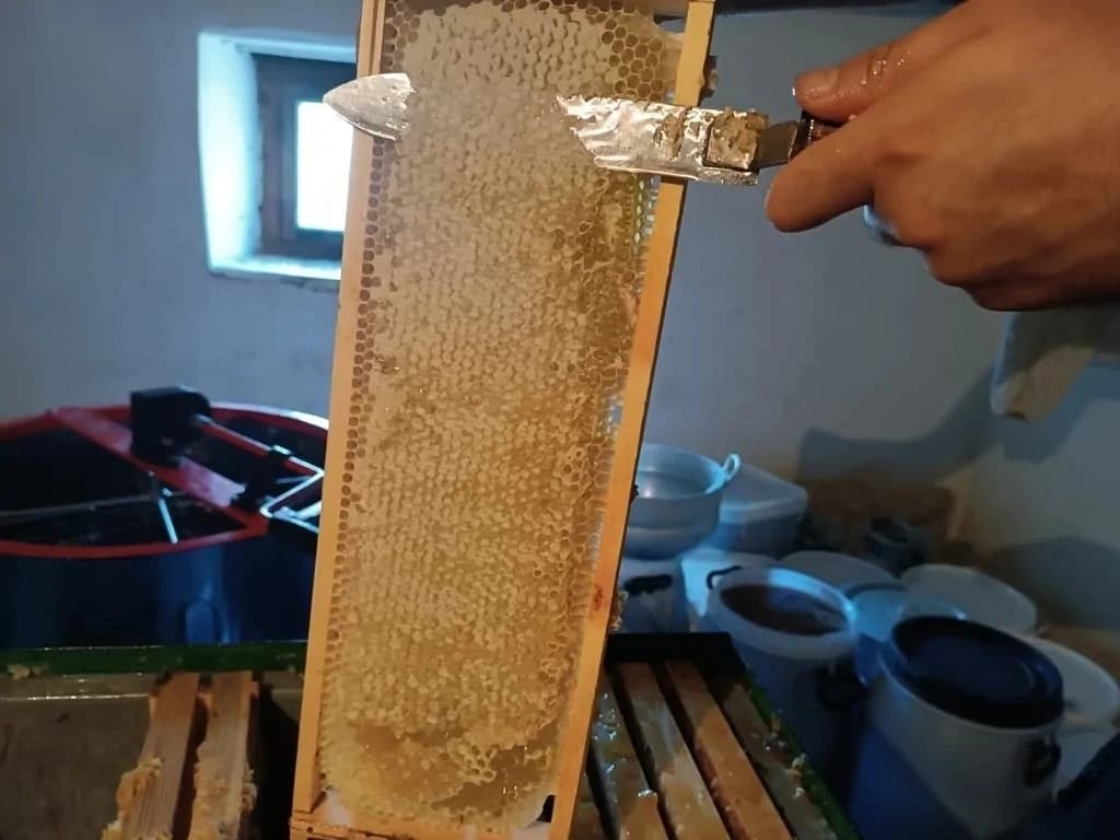 Təbii cökə balı