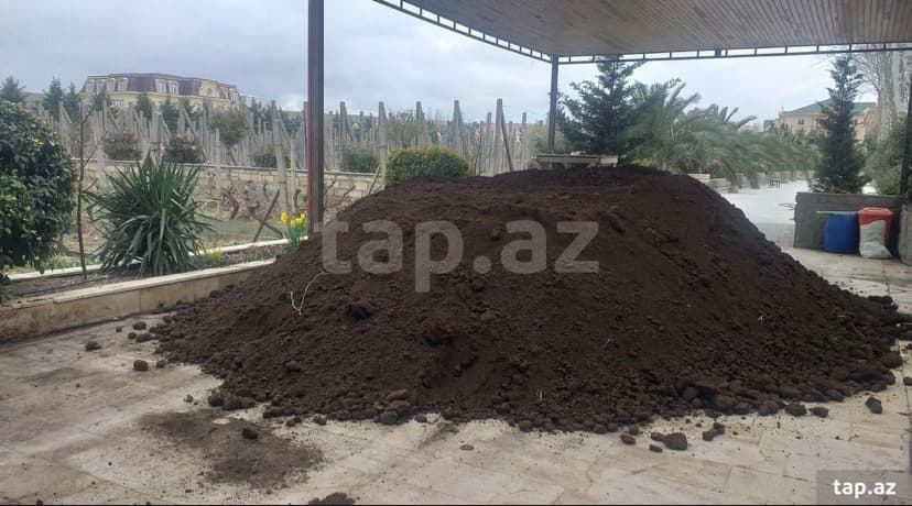 Qara torpaq və peyin