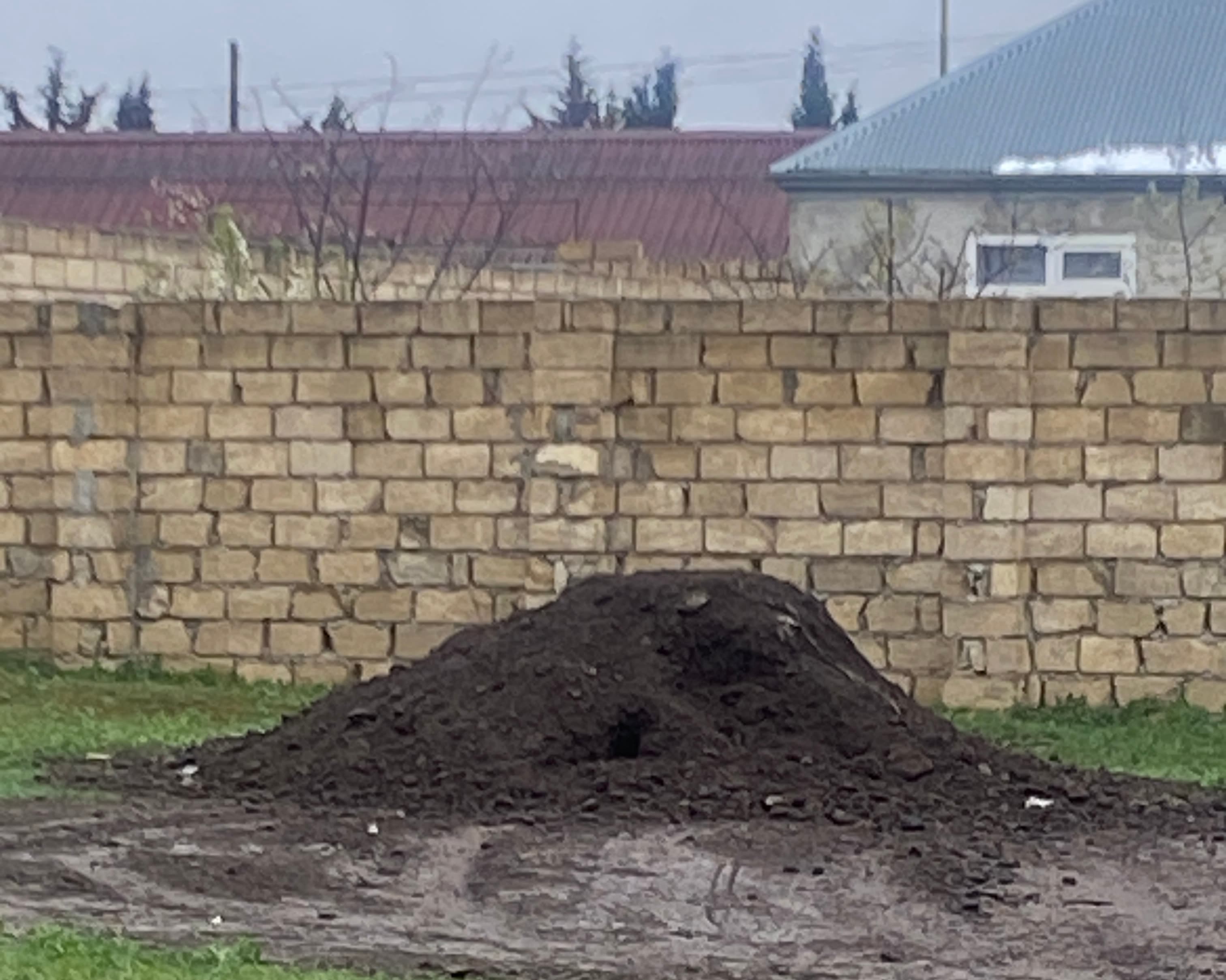 Qara torpaq və peyin