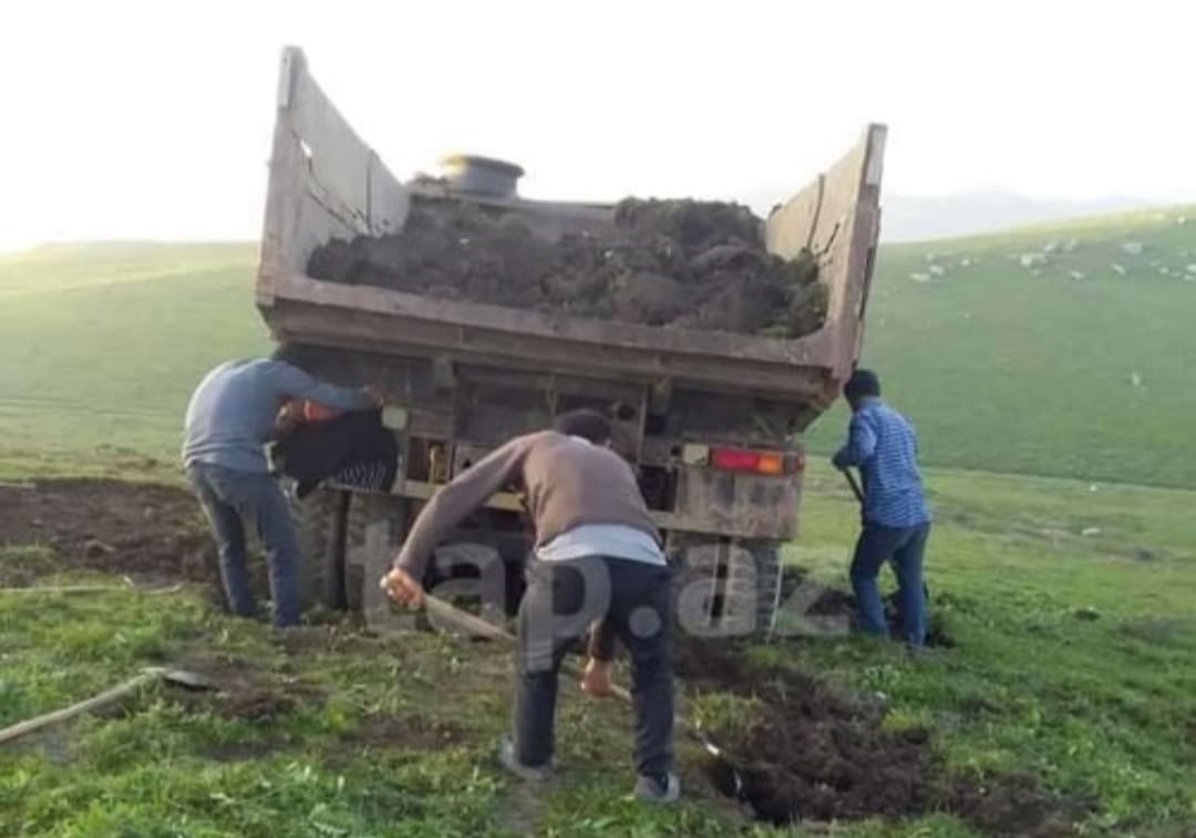 Qara torpaq və peyin