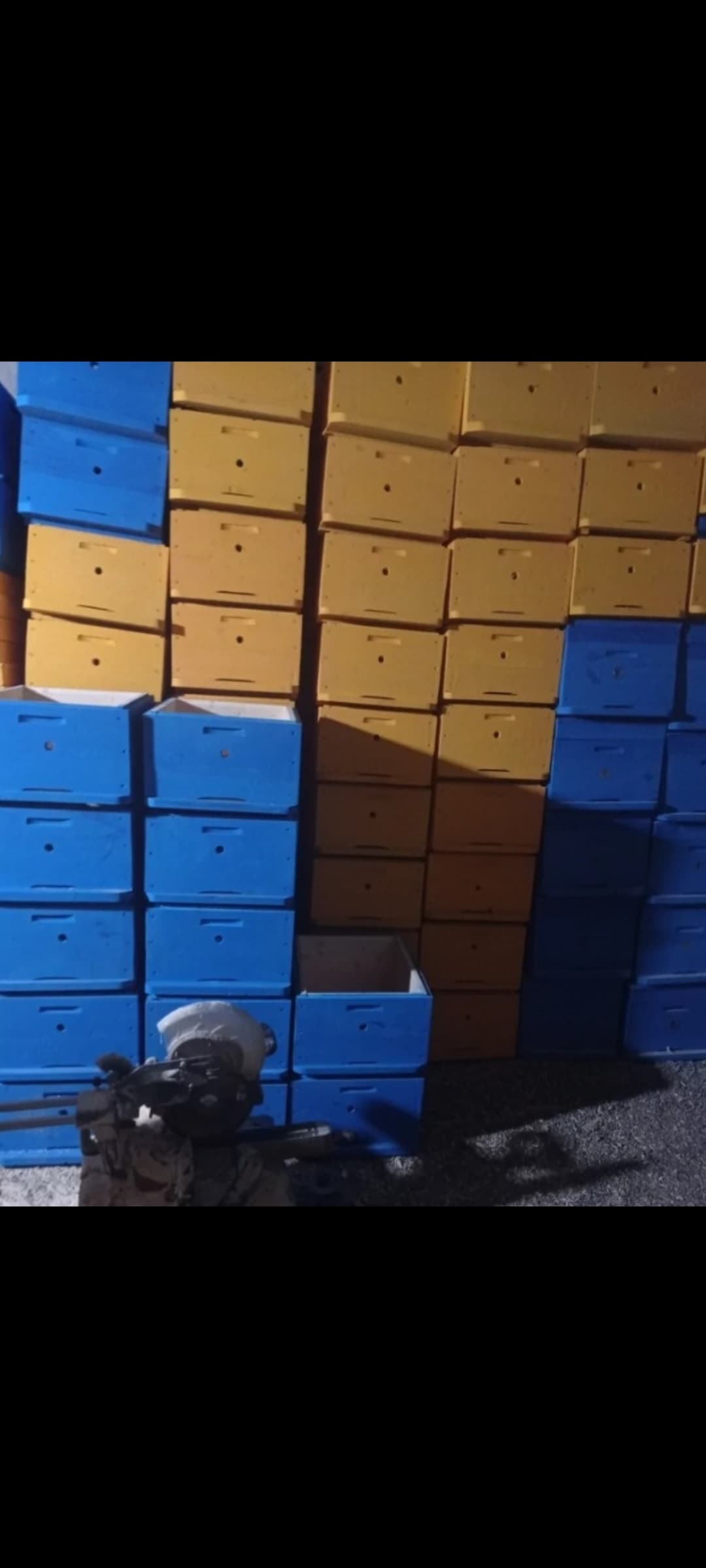 Arı yeşikləri 4 lük taxta ilə
