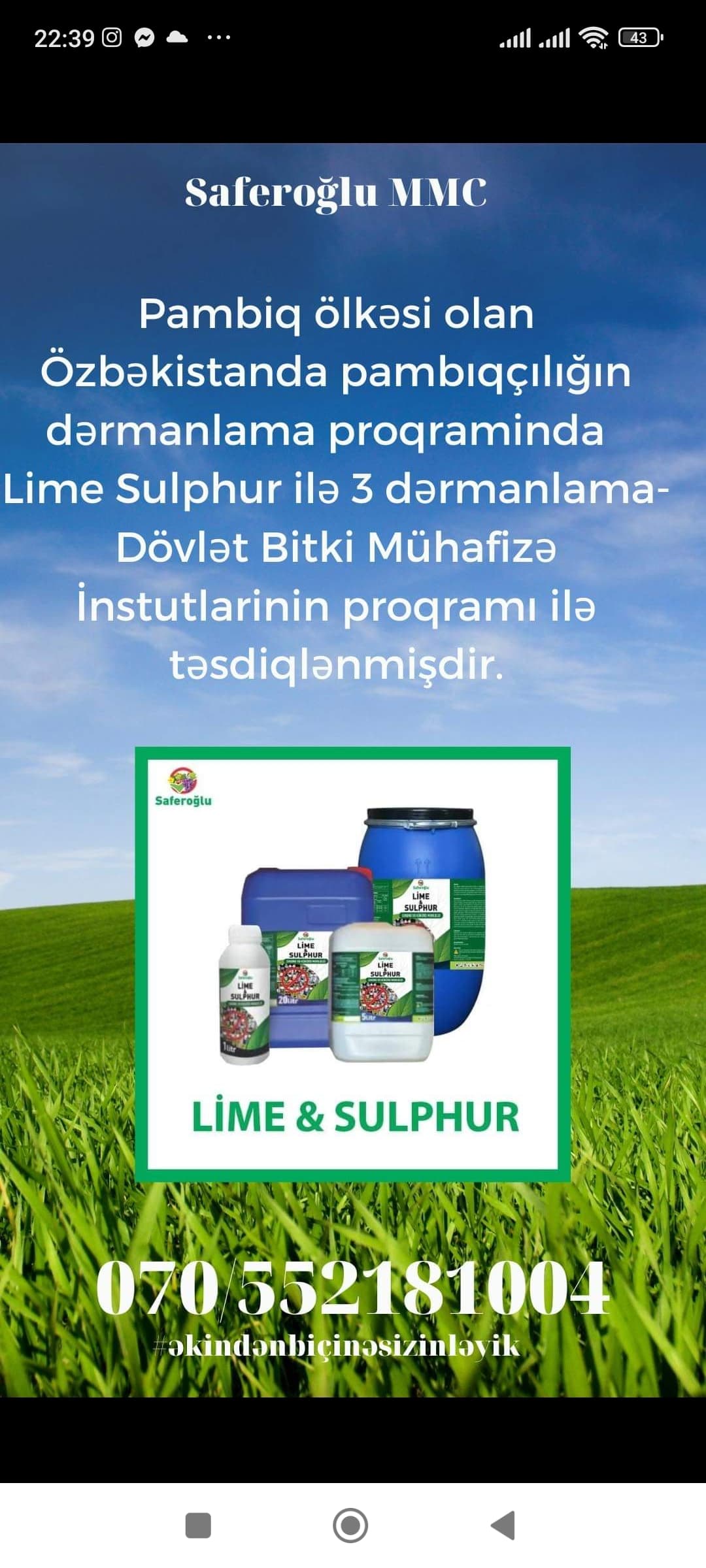 Lime Sulphur