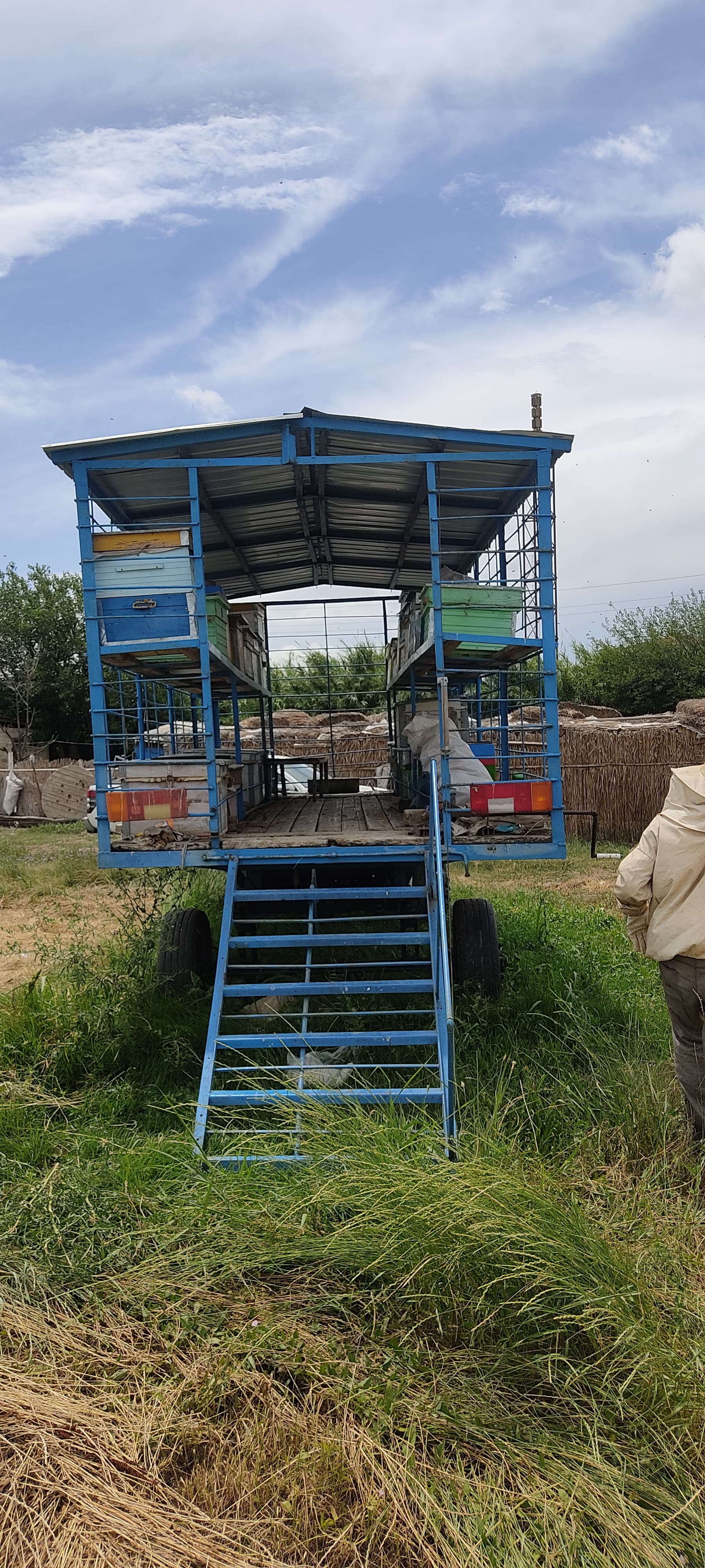 Arılar qoşqu ilə satılır