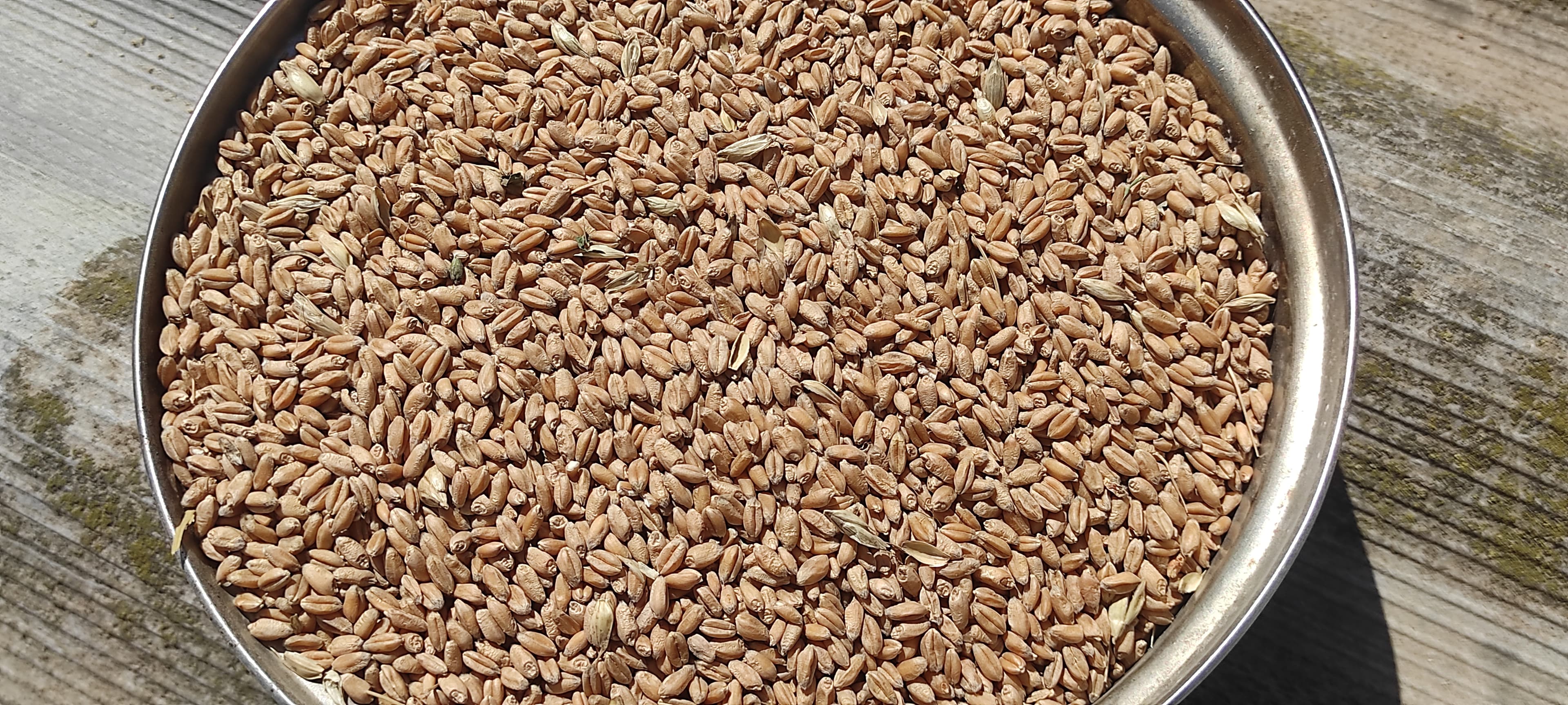 Mourizio