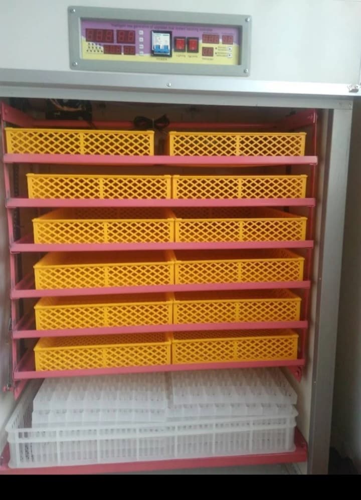 İnkubator