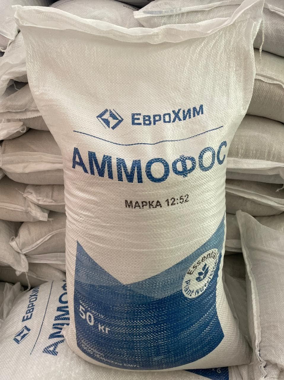 Ammofos eurochem 2023
