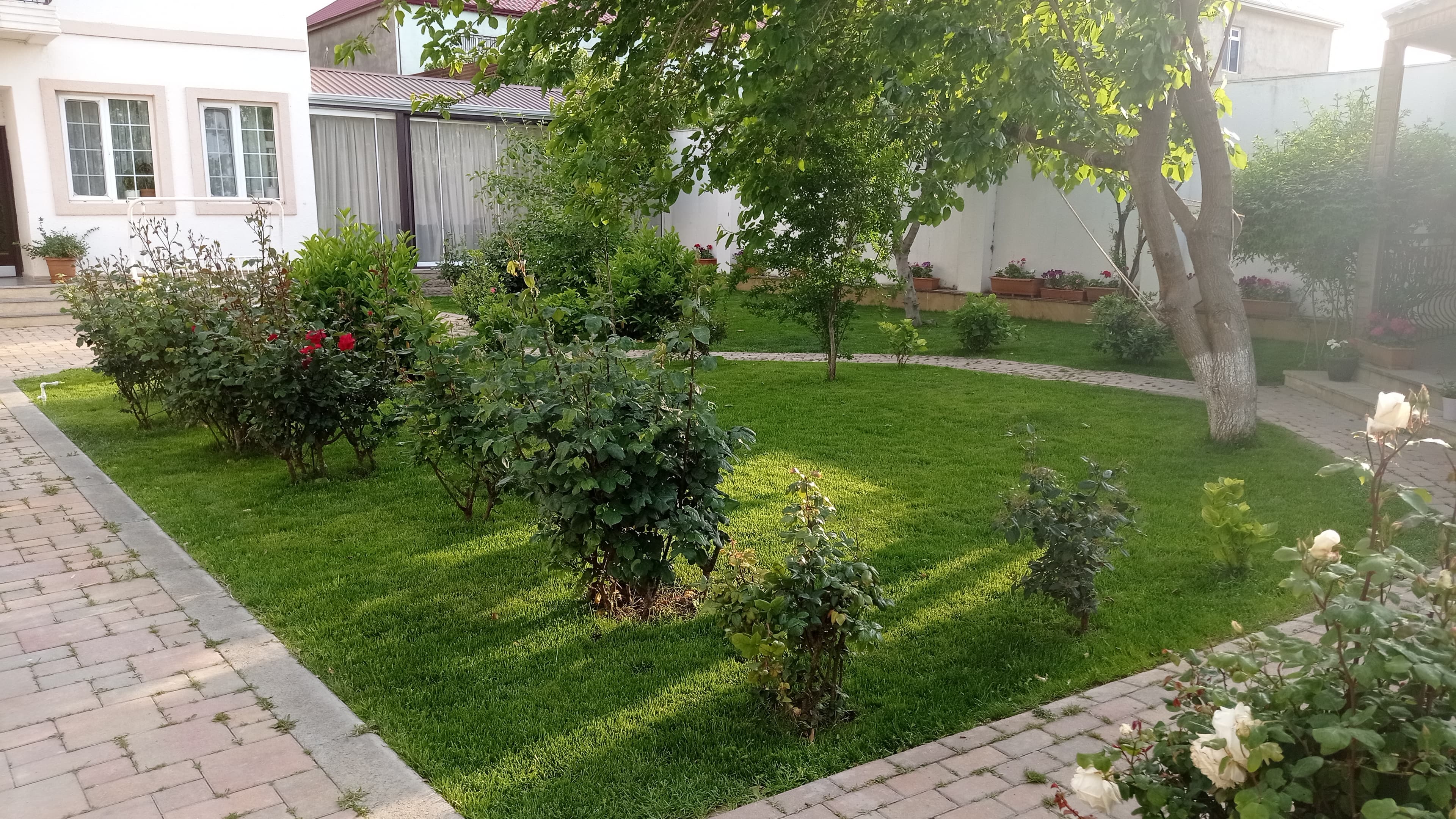 Qazon satışı
