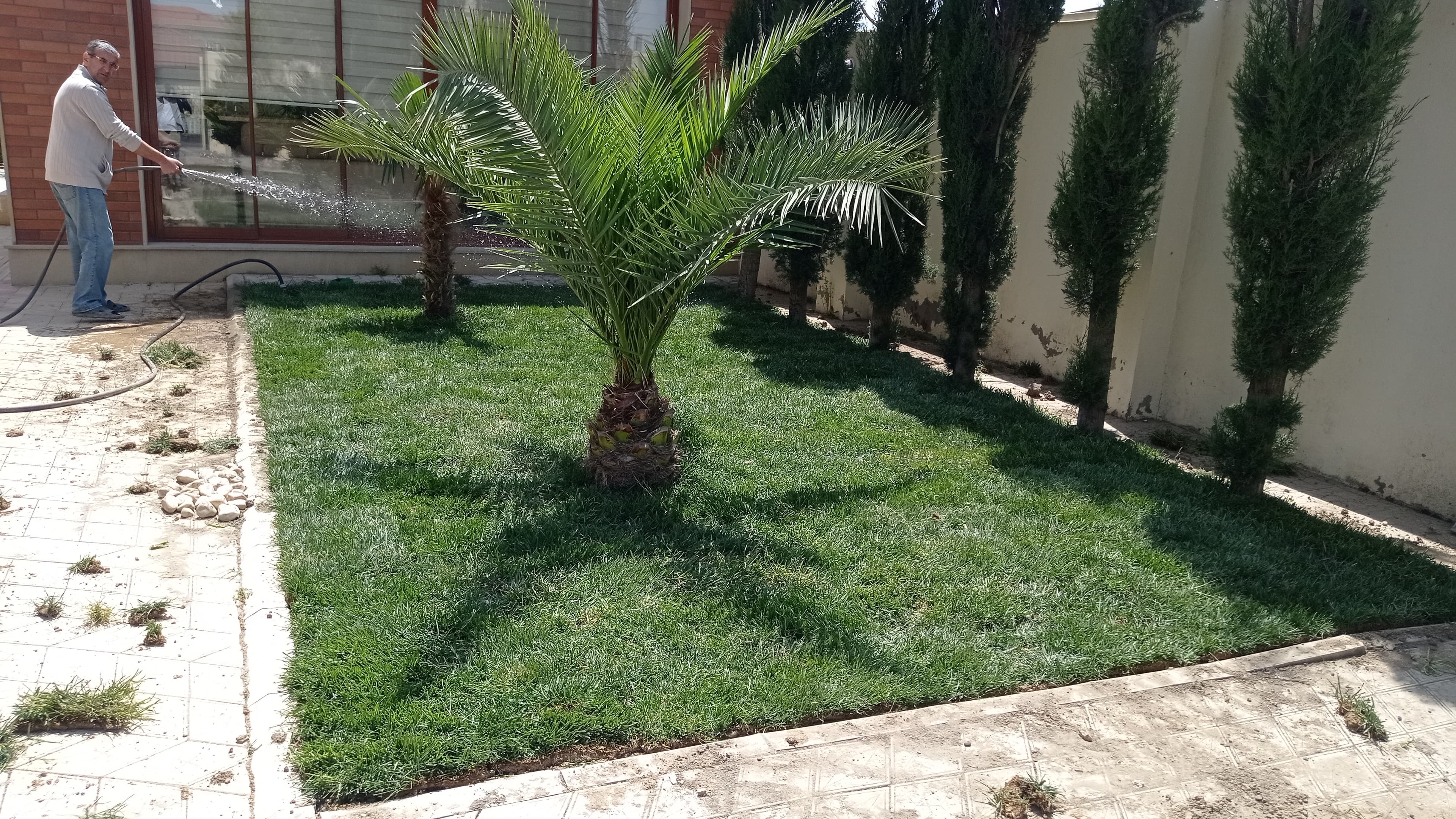 Qazon satışı