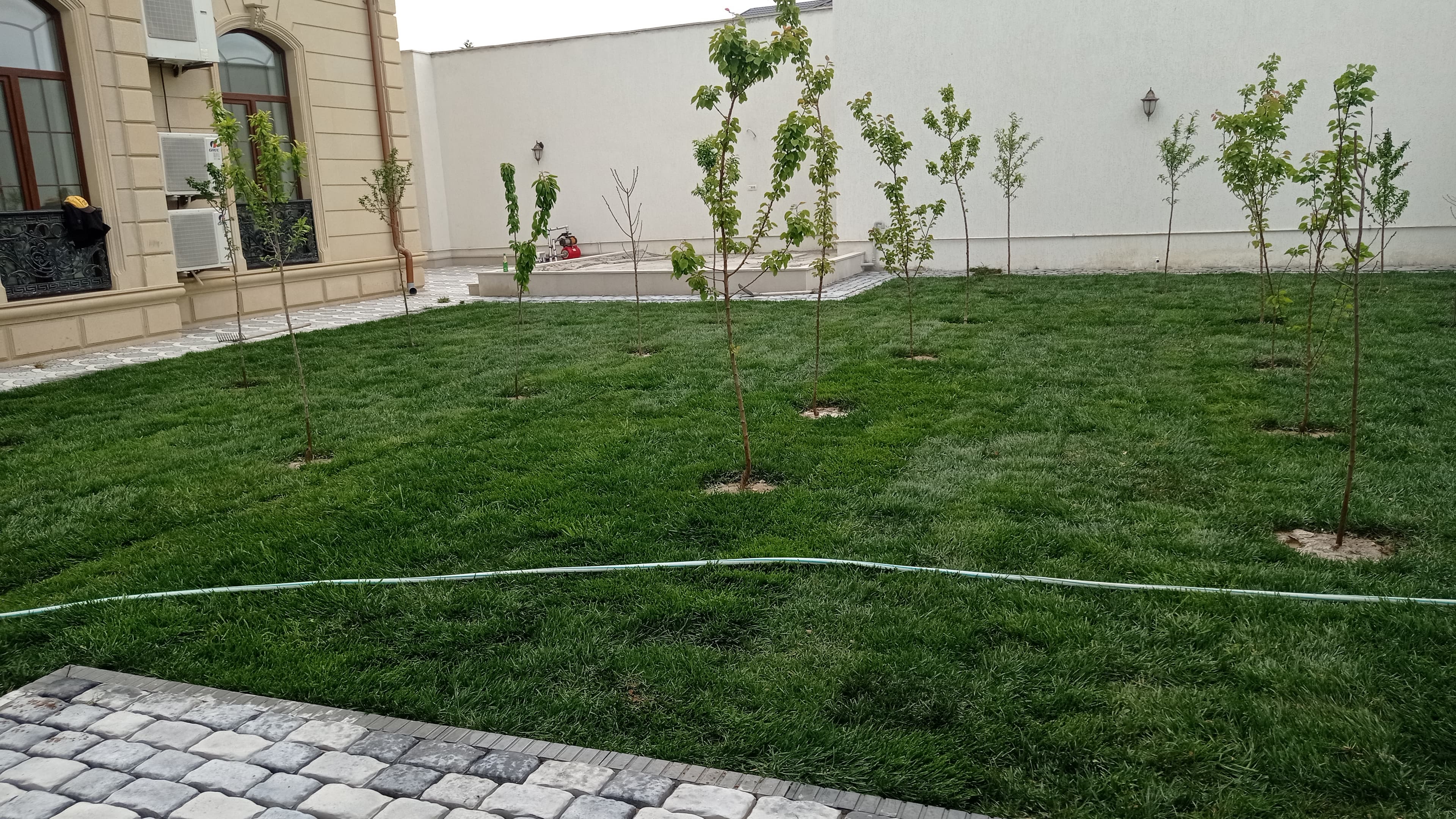 Qazon satışı