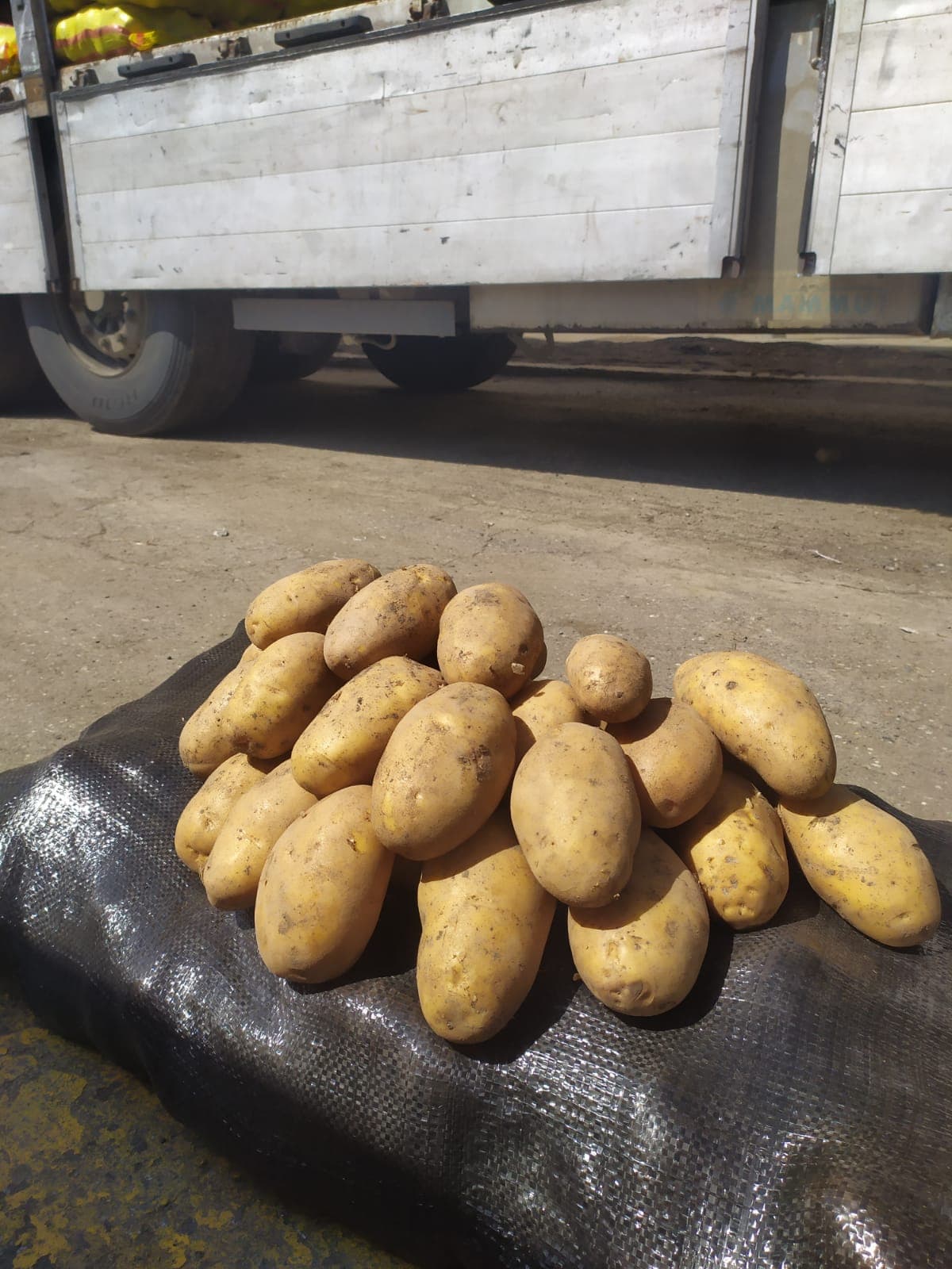 AVM FOODS