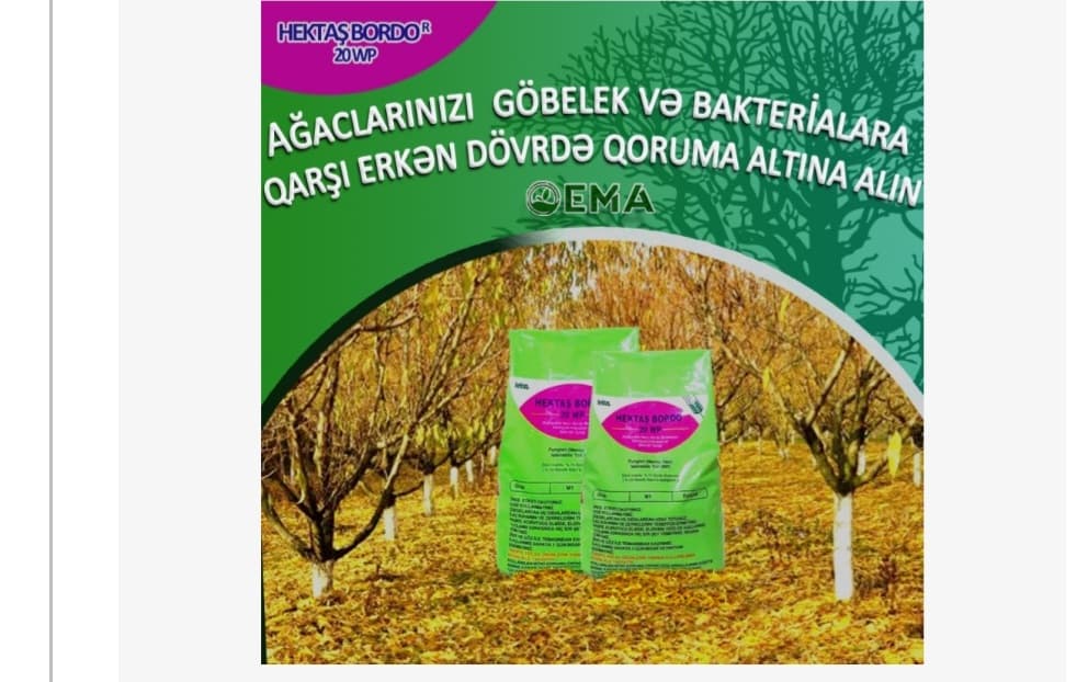 Hektaş Bordo