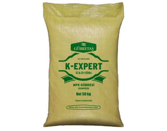 K expert