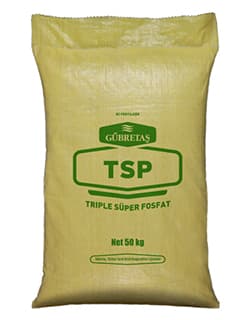 Tsp