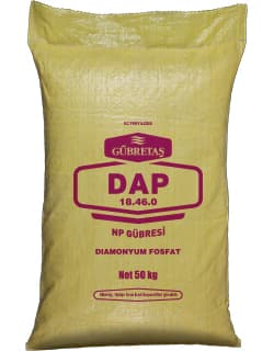 Dap