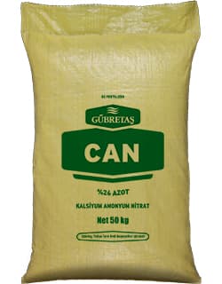 Can