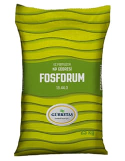 Fosforum
