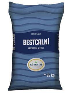 Bbestcalni