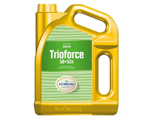 Trioforce