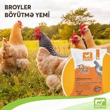 Toyuqlar üçün yem