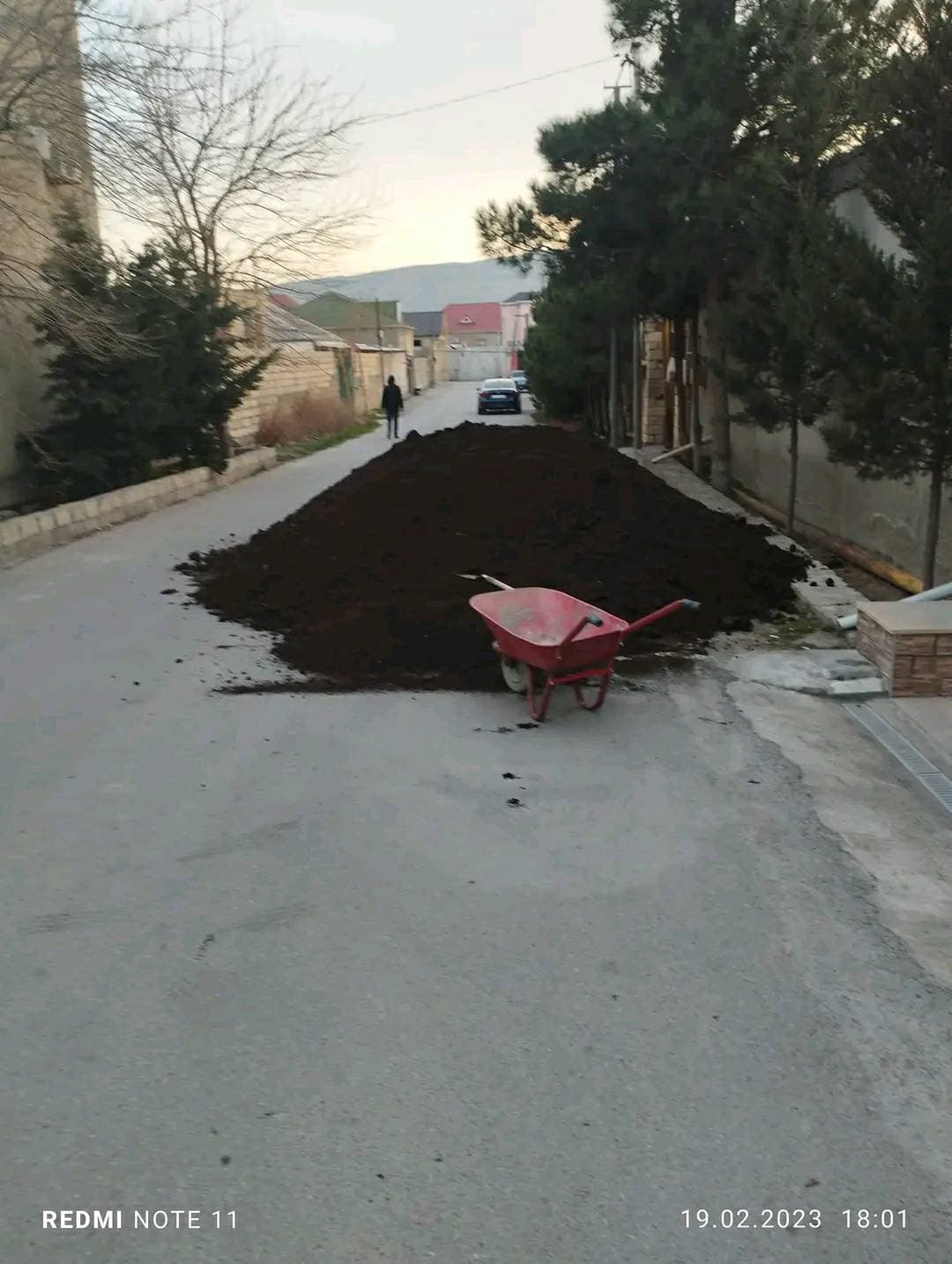 Qara torpaq və peyin