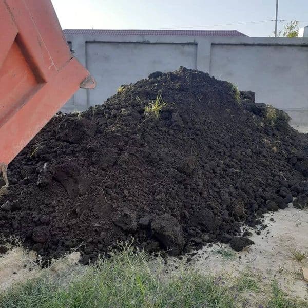 Qara torpaq və peyin