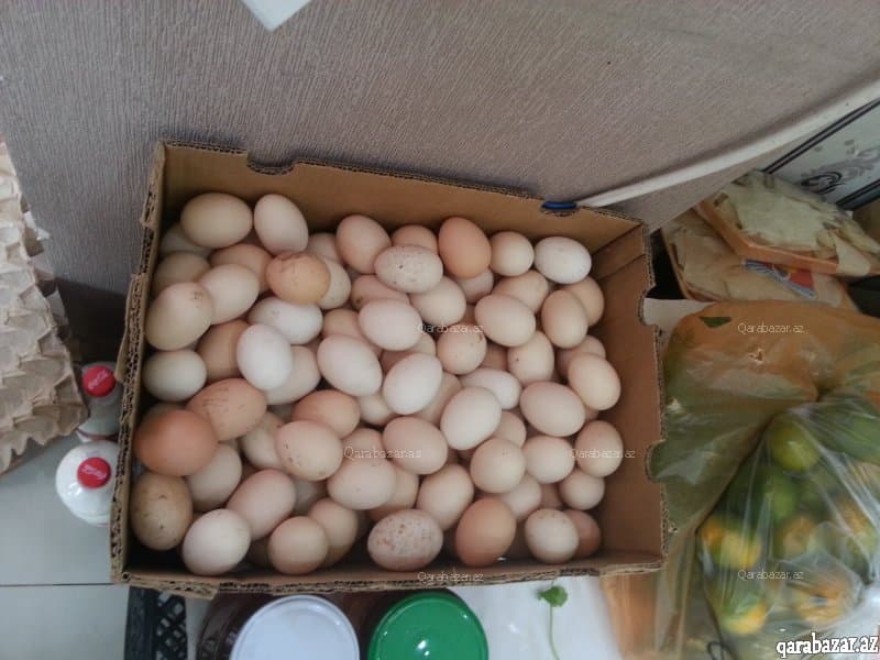 Xalis kənd toyuq yumurtası