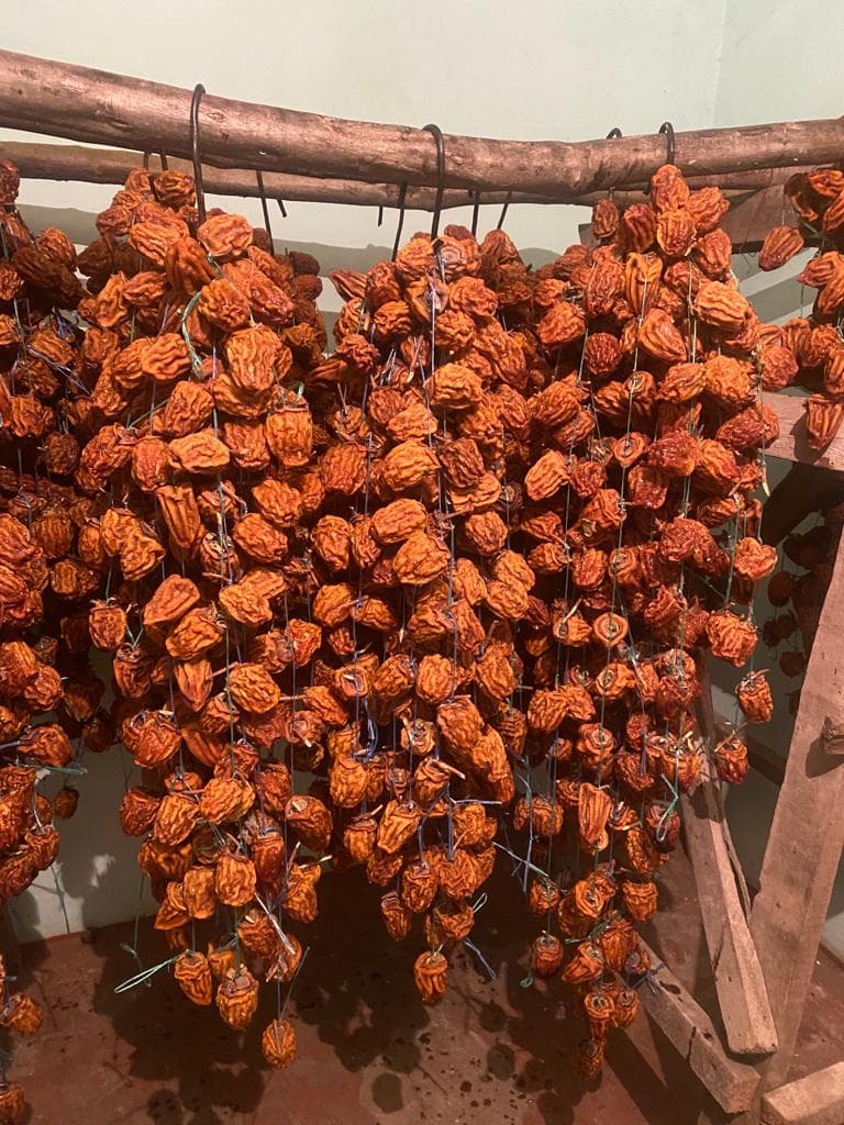 Keyfiyyətli xurma qurusu satılır.