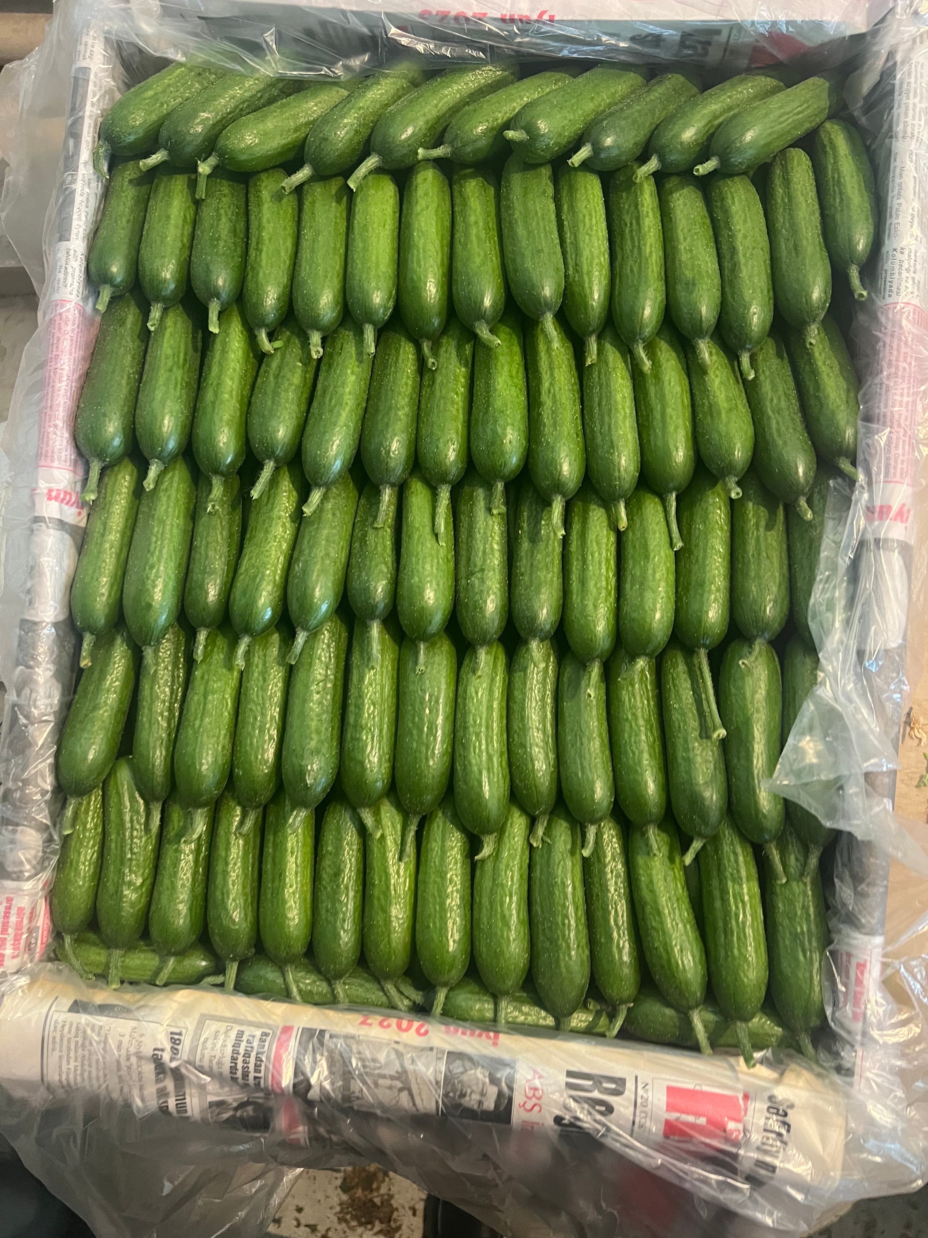 Espadana Xiyar Birinci sort
