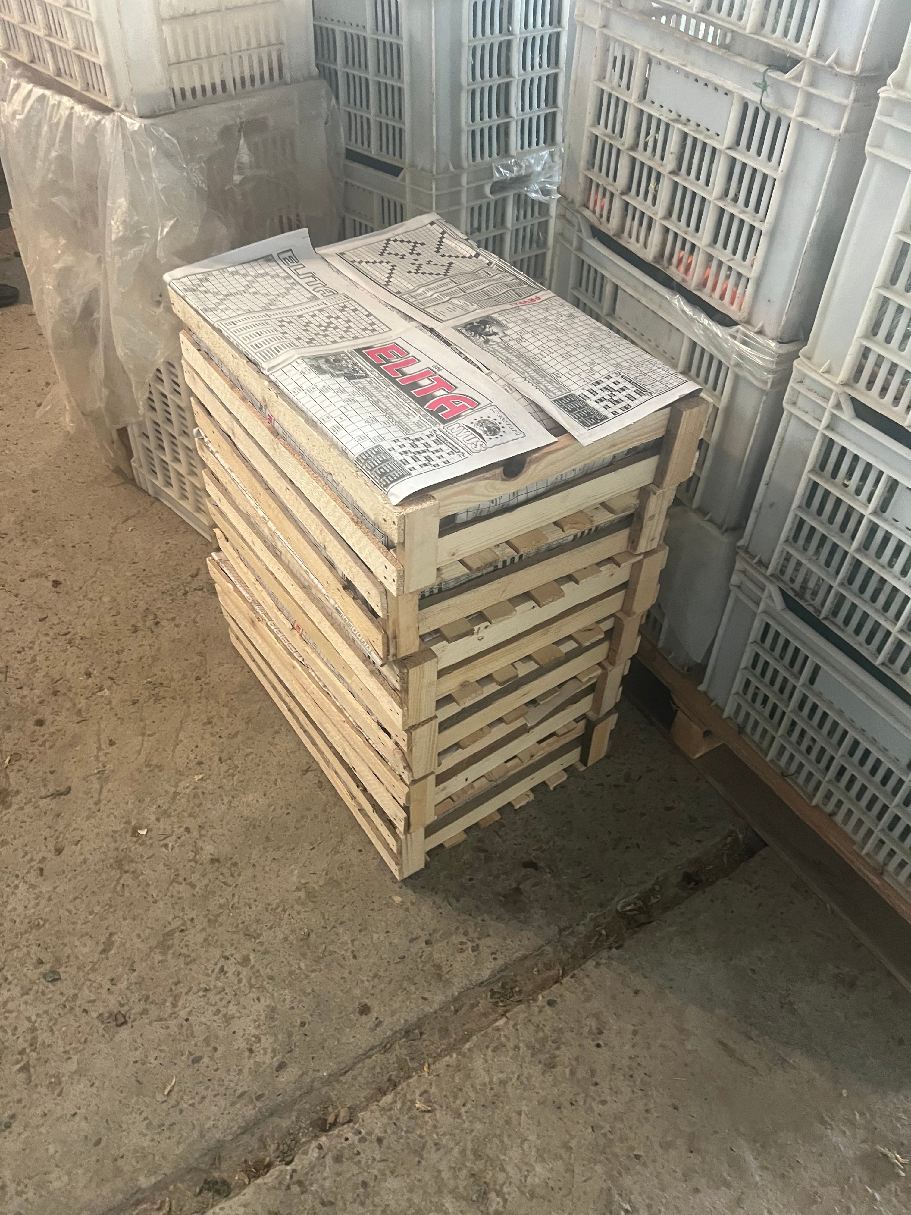 Espadana Xiyar Birinci sort